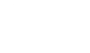 GPSA – German Professional Services Alliance